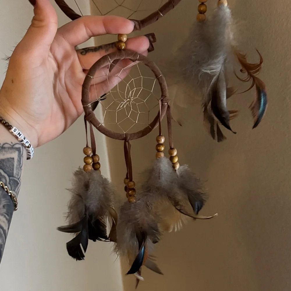Brown Feathers Dreamcatcher Wall Decor
